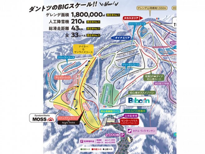 ダイナランド ゲレンデ地図