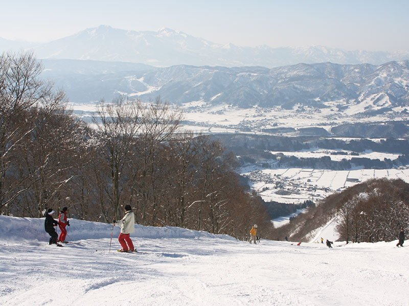 スカイライナーコースイメージ