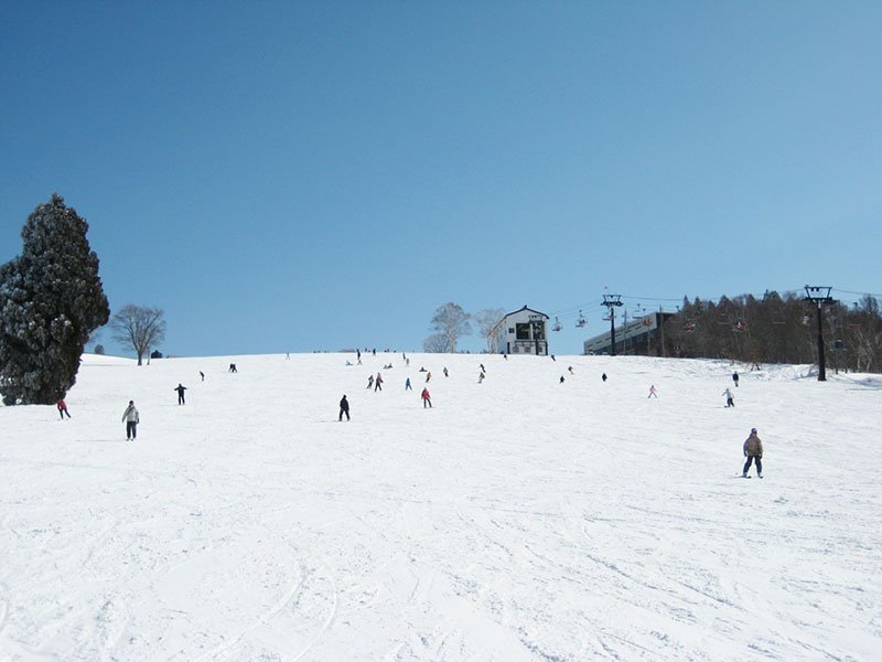 パラダイスゲレンデ2