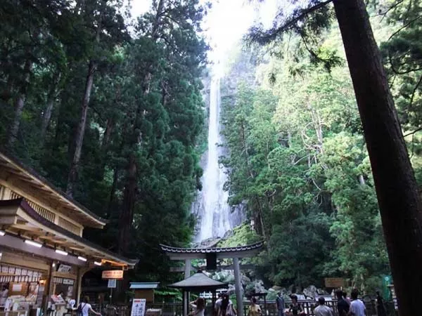 熊野三山巡りツアー 那智の大滝