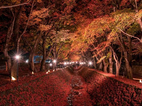 河口湖紅葉まつりライトアップイメージ