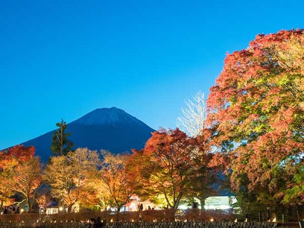 【東京・新宿発】河口湖紅葉まつりライトアップ観賞＆秋の味覚「松茸御膳」イメージ