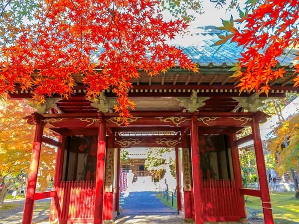 ≪GoToトラベル対象商品≫【横浜発】房総W紅葉狩りと房総名物「海鮮浜焼き」&みかん狩り食べ放題◎インスタ映えな濃溝の滝&小松寺の紅葉観賞!食べ放題の昼食と季節の果物狩り付
