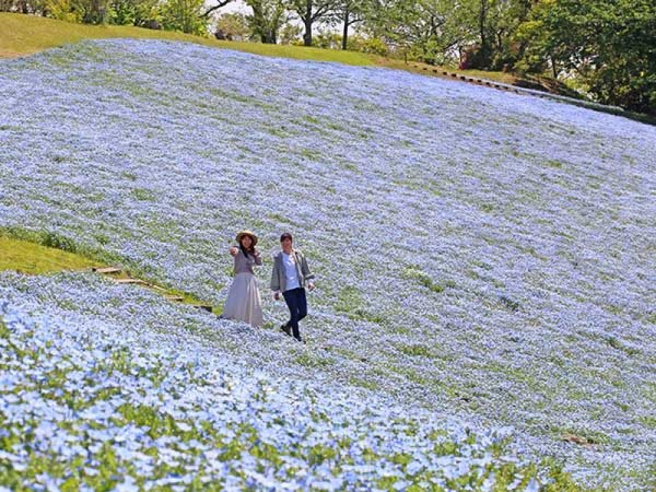 東京 上野発 マザー牧場散策 三井アウトレットパーク木更津 日帰りバスツアー専門の旅行会社 トラベックスツアーズ 公式