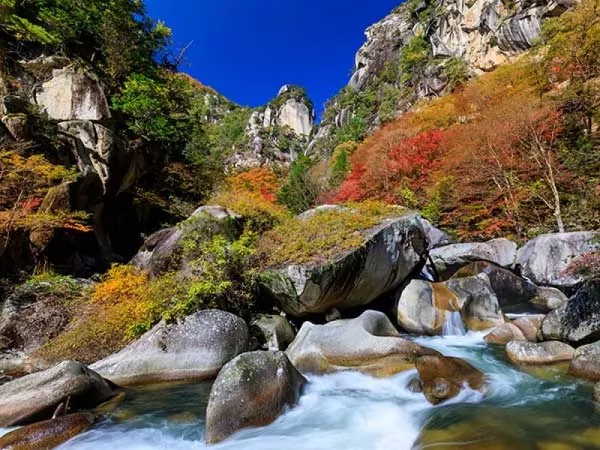 【新宿発】日本一の渓谷美！紅葉の「昇仙峡」フリー散策＆ぶどう狩り食べ放題