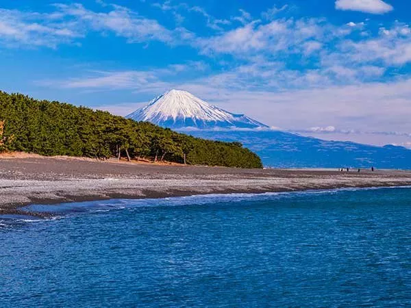 三保の松原 松原と富士山