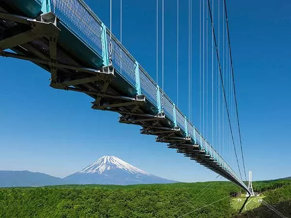三島スカイウォーク 富士山と吊り橋