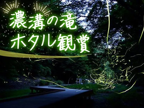 【新宿発】幻想的な秘境「濃溝の滝」ホタル観賞ツアーイメージ