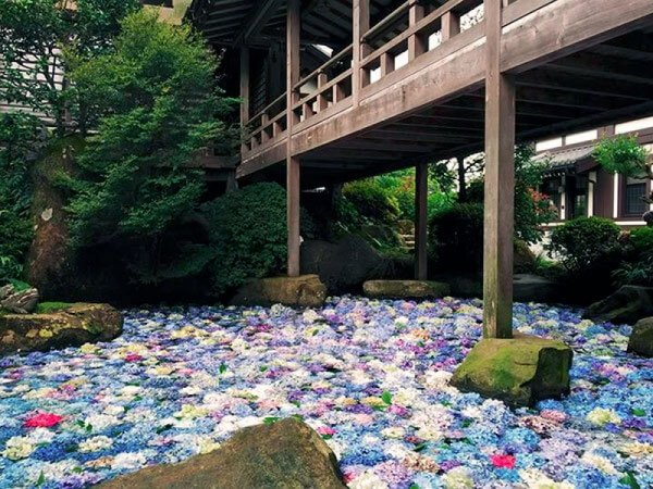 【東京発】絶景の「あじさい池」と旬の味覚「メロン狩り」◎パワースポット雨引観音で話題のアジサイ池観賞&御朱印集め。那珂湊散策やめんたいパークの工場見学に贅沢メロン狩りと内容盛りだくさん!