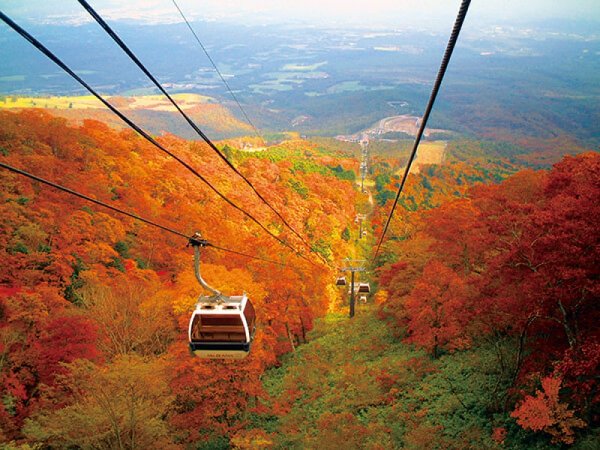 1名で2席利用！【東京発】深紅に染まる那須高原！紅葉ゴンドラで空中散歩＆那須ガーデンアウトレット