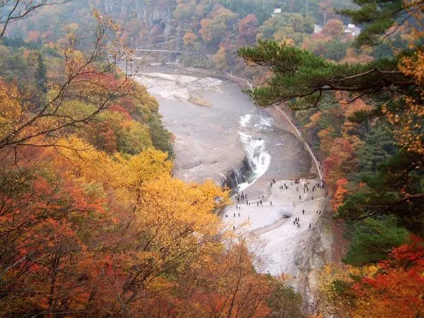 【東京-新宿発】秋の吹割の滝＆湯葉作り体験＆老神温泉入浴イメージ