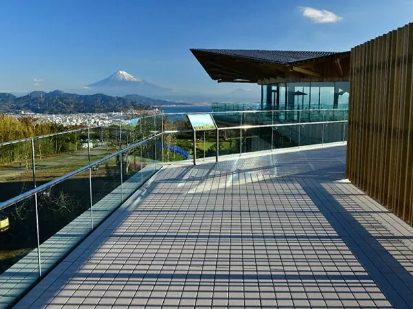 日本平夢テラス テラスからの景色