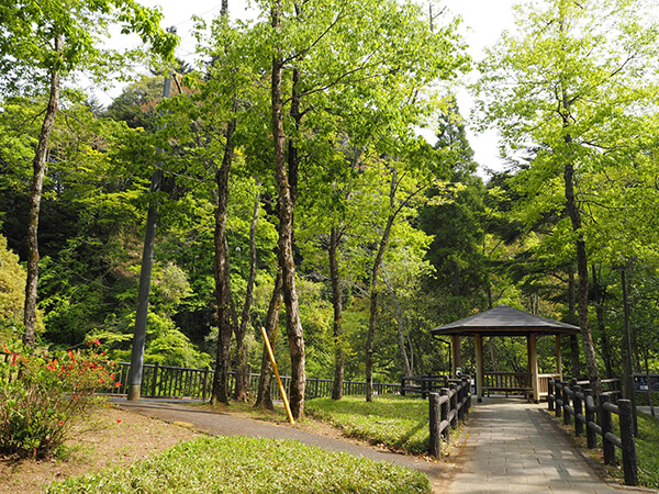 濃溝の滝 散策路