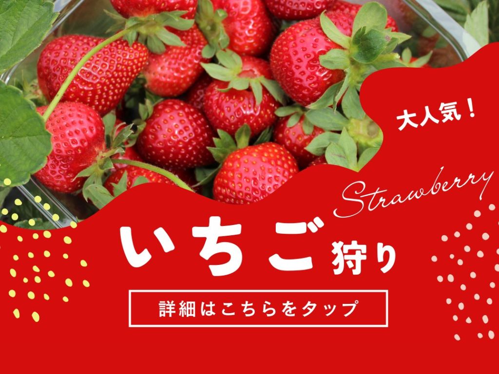 いちごバスツアーイメージ