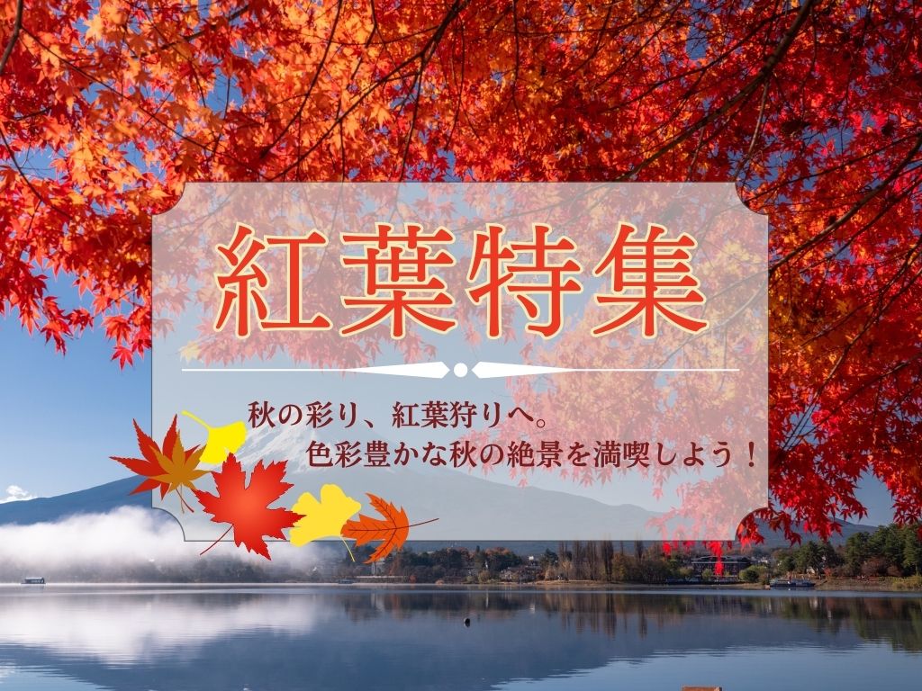 紅葉観賞のバスツアーイメージ