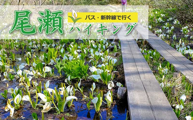 尾瀬ハイキングツアーイメージ