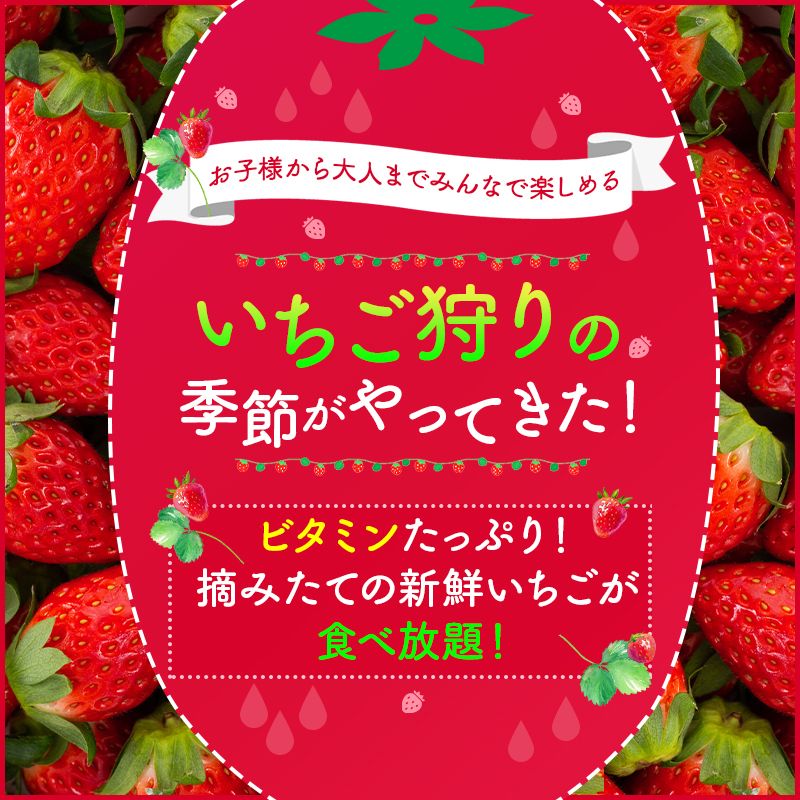 日帰りバスツアー専門の旅行会社 トラベックスツアーズ 公式 日帰りバスツアー専門の旅行会社 トラベックスツアーズ 公式