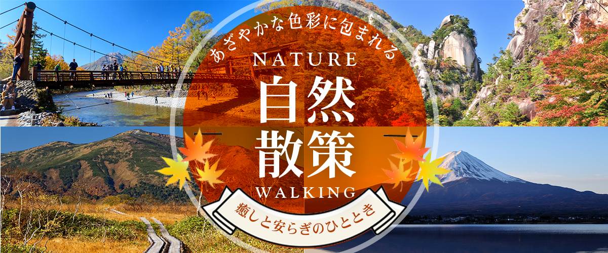自然散策特集