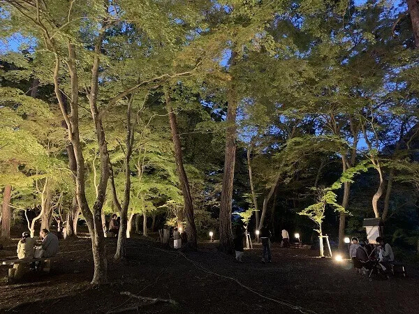 月の石もみじ公園ライトアップ