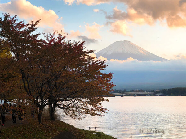 河口湖紅葉まつりと富士山