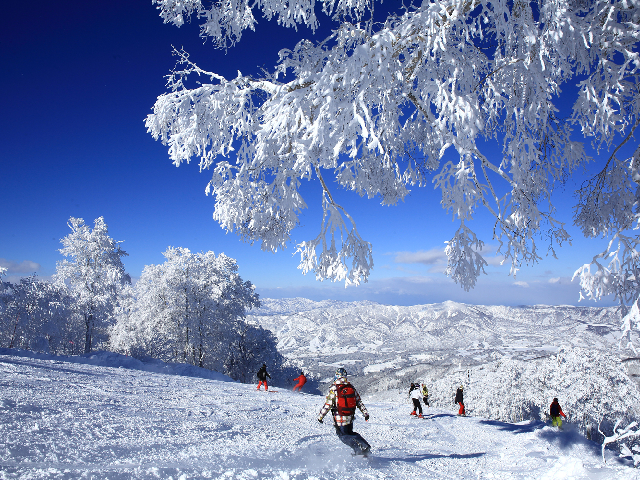ランキング３位の施設