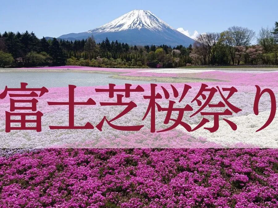 富士芝桜まつりイメージ