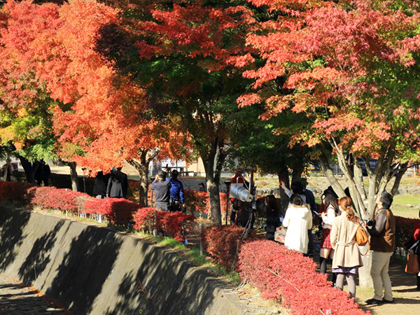 紅葉まつりとはイメージ