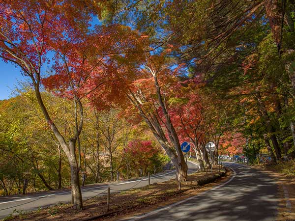 河口湖紅葉まつりロープウェイイメージ